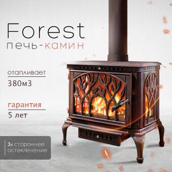 Чугунная печь Forest Bronze в Саратове